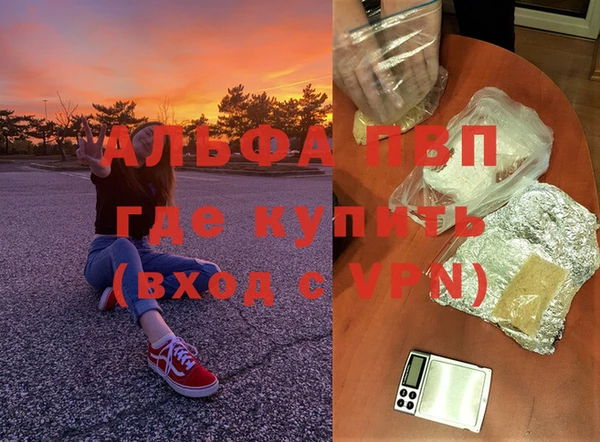 крисы Зеленодольск