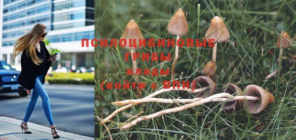кокаин перу Зеленокумск