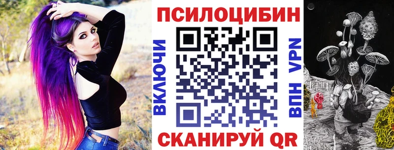 Галлюциногенные грибы Psilocybe  Купить  Новопавловск 