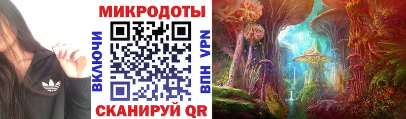 Псилоцибиновые грибы MAGIC MUSHROOMS Новопавловск
